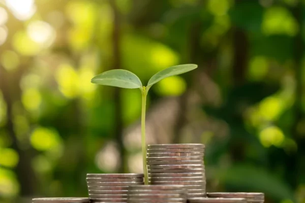 shutterstock_2147632947 copy