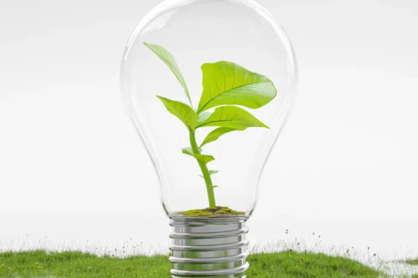 shutterstock_2264838727 copy