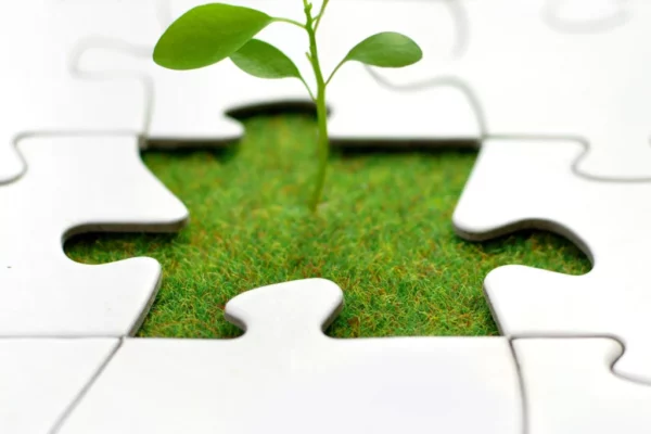 shutterstock_87712507 copy